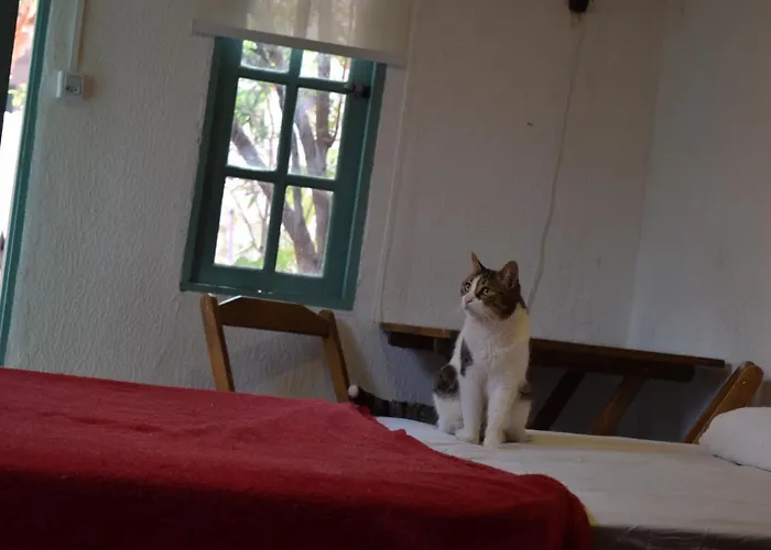 Hobi Hostel